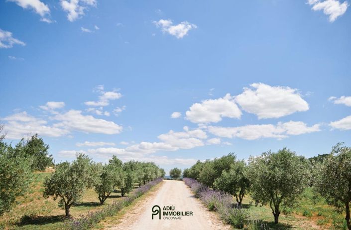 Image No.14-10 Bed House for sale