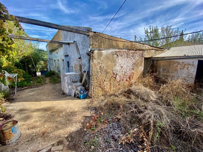 Image No.2-Maison de 3 chambres à vendre à Loule