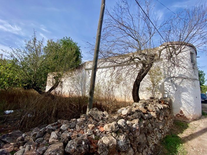 Image No.27-Maison de 3 chambres à vendre à Loule