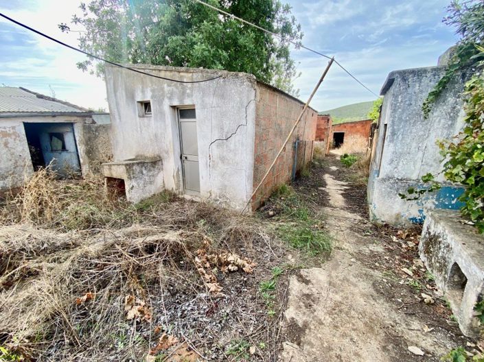Image No.3-Maison de 3 chambres à vendre à Loule
