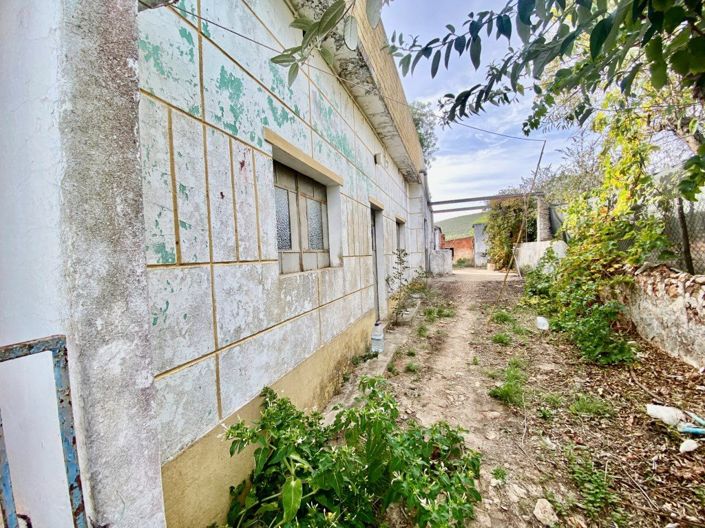 Image No.6-Maison de 3 chambres à vendre à Loule