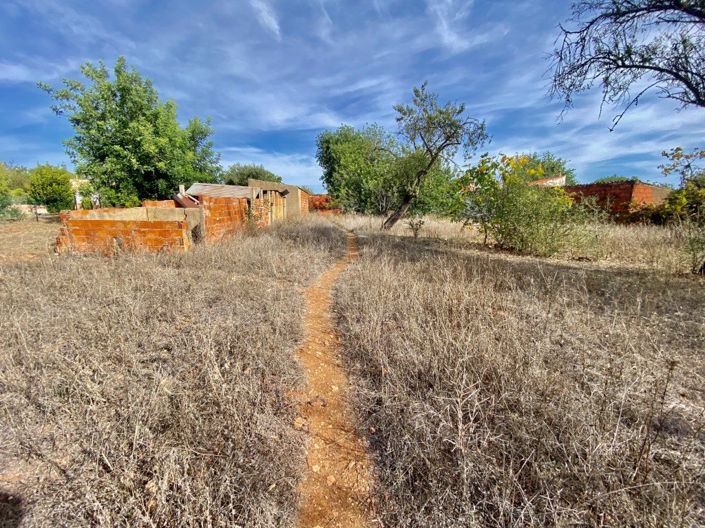 Image No.7-Maison de 3 chambres à vendre à Loule