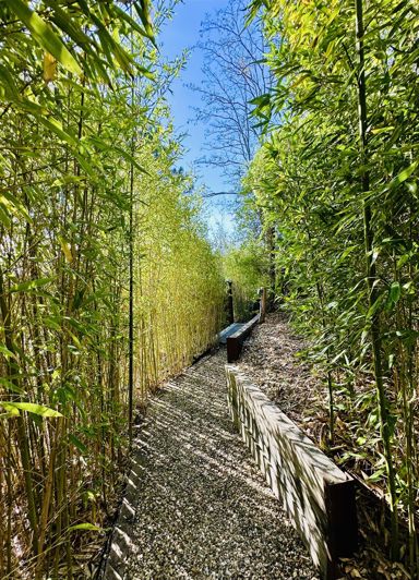 Image No.24-4 Bed House for sale