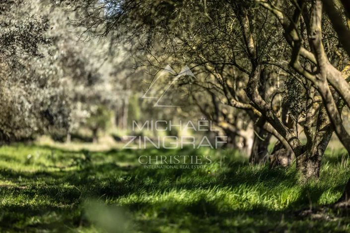 Image No.23-4 Bed House for sale