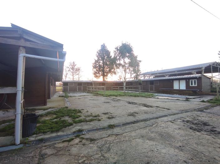 Image No.10-9 Bed House for sale