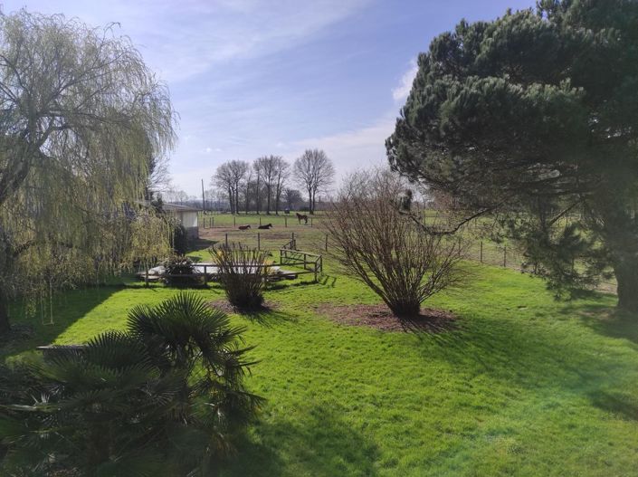 Image No.5-9 Bed House for sale