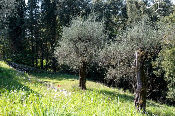 Image No.45-Maison de 5 chambres à vendre à Châteauneuf-Grasse