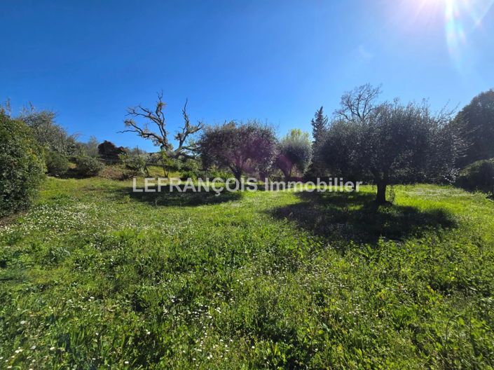 Image No.17-3 Bed House for sale