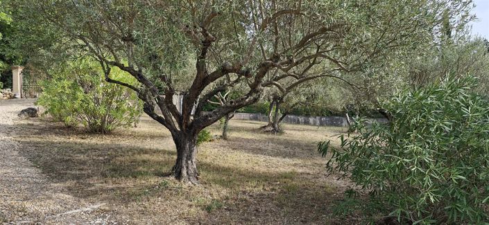 Image No.9-5 Bed House for sale