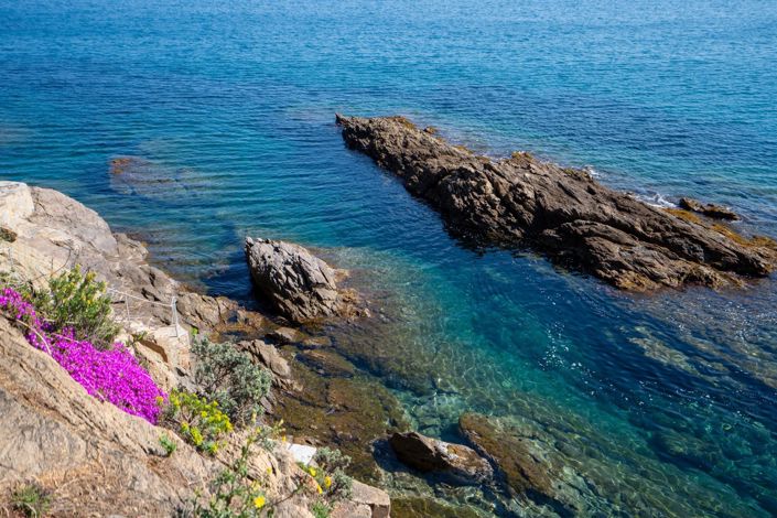 Image No.28-3 Bed House for sale