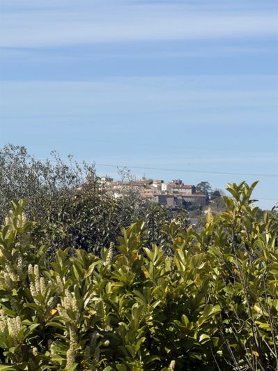 Image No.24-4 Bed House for sale