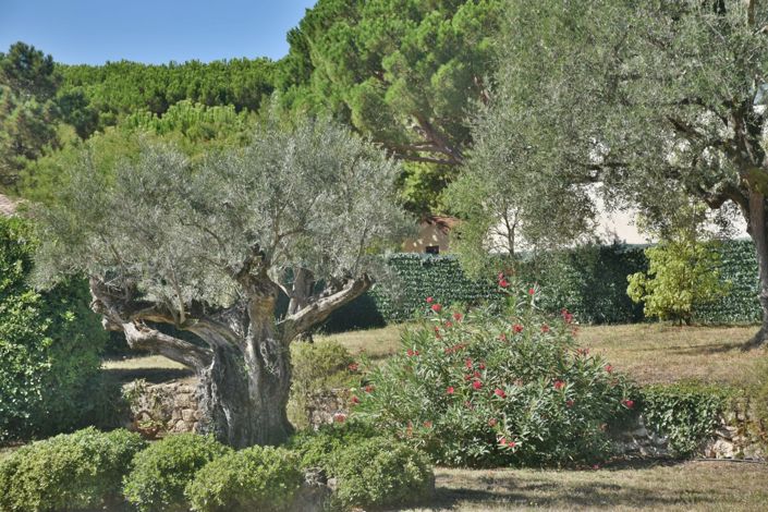 Image No.9-Maison de 5 chambres à vendre à Valbonne