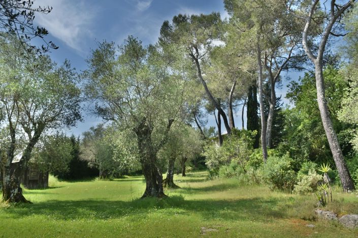 Image No.6-Maison de 2 chambres à vendre à Valbonne