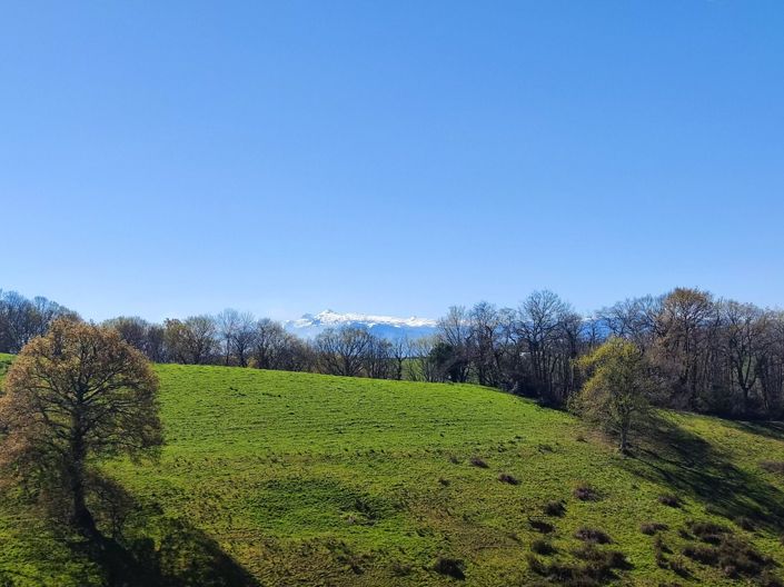 Image No.3-5 Bed House for sale