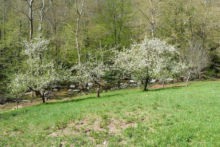 Image No.13-7 Bed House for sale