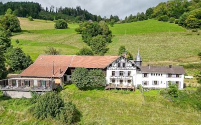 1 - Saint-Dié-des-Vosges, Maison