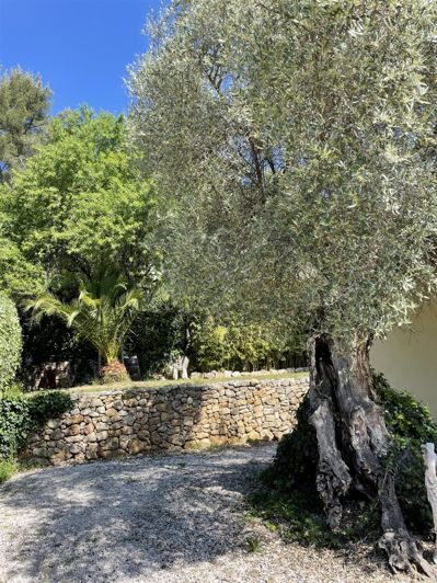 Image No.40-7 Bed House for sale