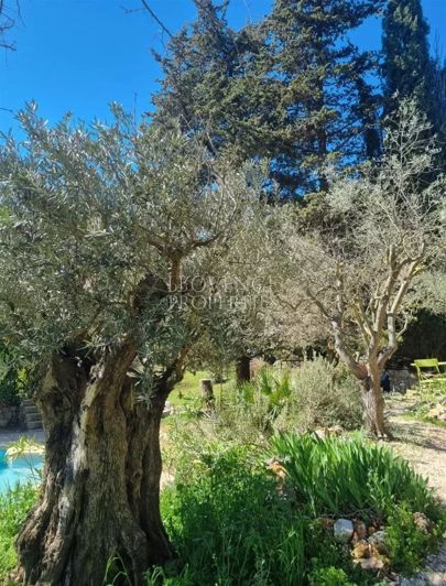 Image No.8-8 Bed House for sale