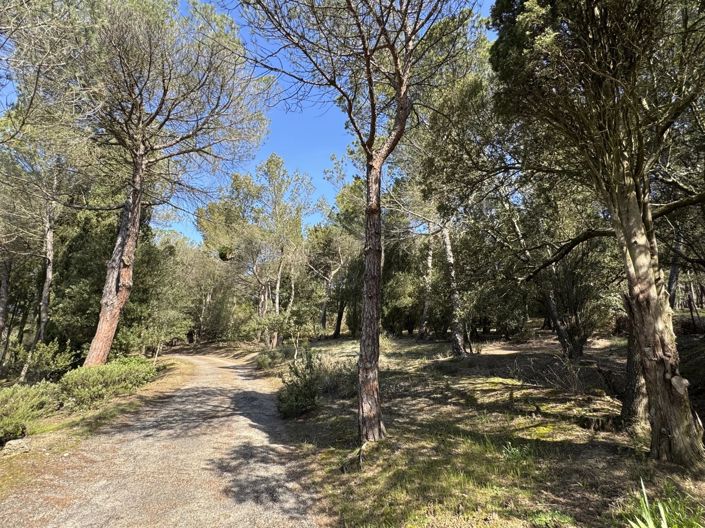 Image No.23-Maison de 5 chambres à vendre à Carcassonne