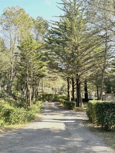 Image No.25-Maison de 5 chambres à vendre à Carcassonne