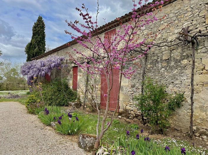 Image No.16-7 Bed House for sale