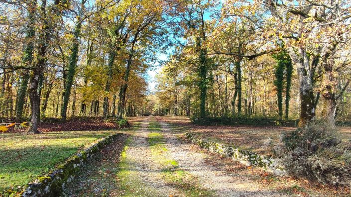 Image No.2-Maison de 4 chambres à vendre à Montaigu-de-Quercy