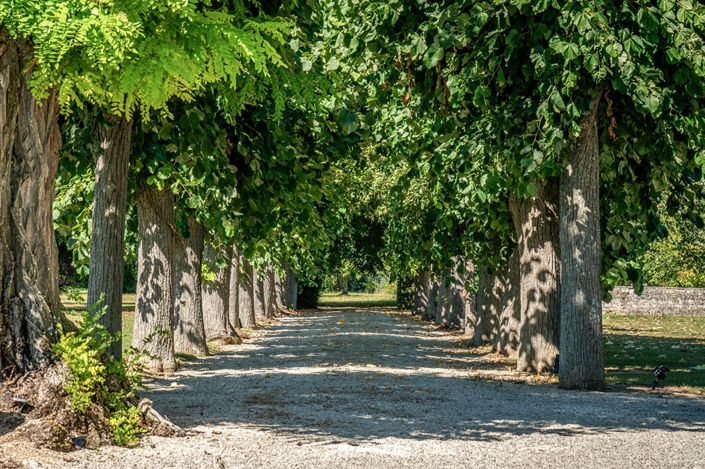 Image No.3-20 Bed Property for sale