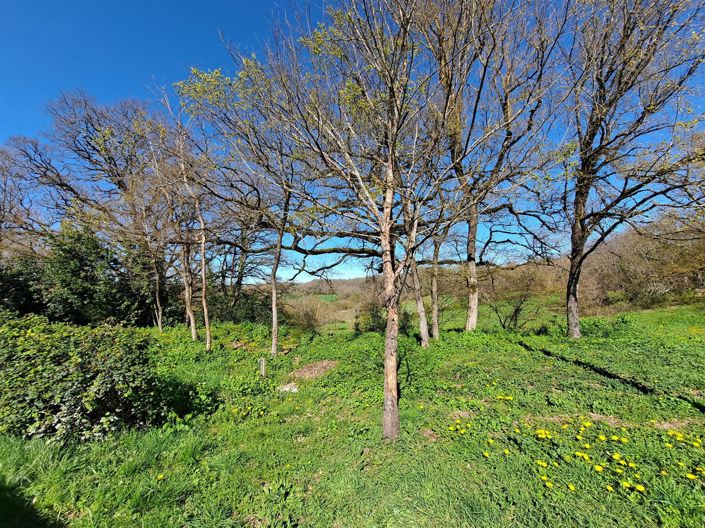 Image No.27-3 Bed House for sale