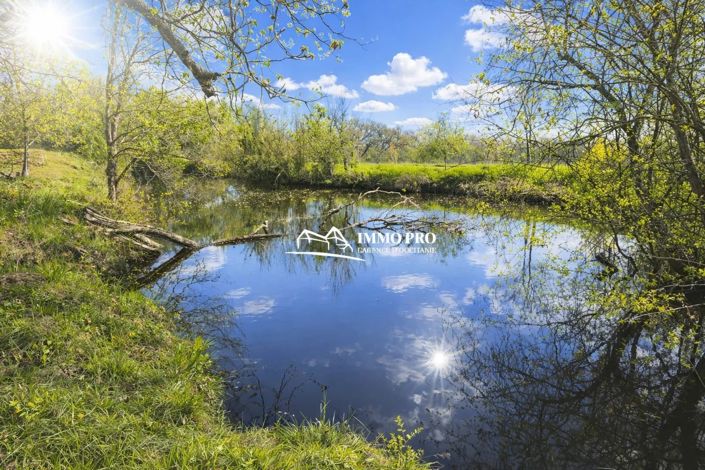 Image No.4-8 Bed House for sale