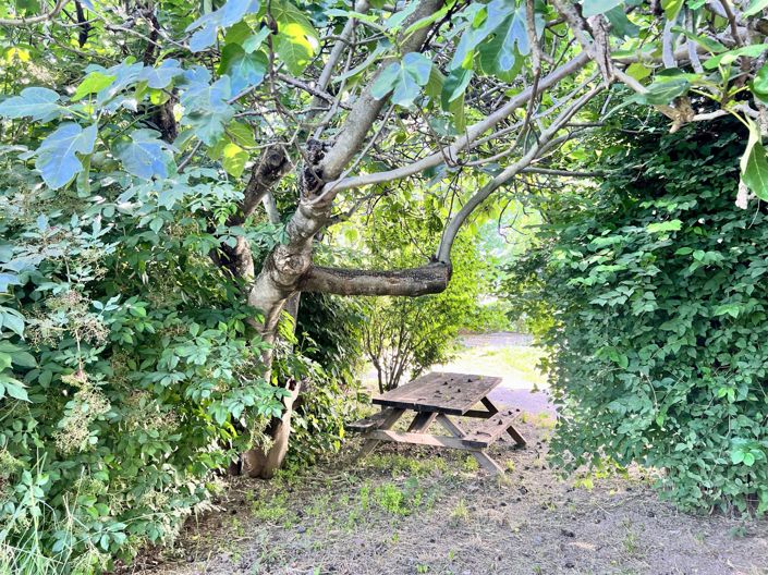 Image No.5-Maison de 5 chambres à vendre à Les Mées