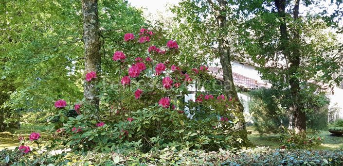 Image No.9-Maison de 5 chambres à vendre à Soustons