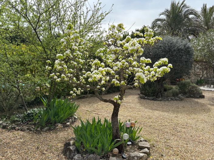 Image No.3-3 Bed House for sale