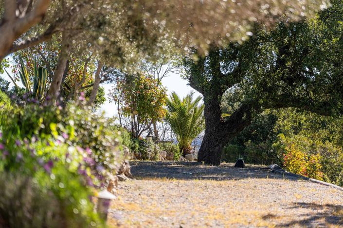 Image No.15-Maison de 4 chambres à vendre à Les Adrets-de-l'Estérel