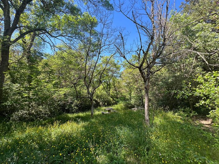 Image No.10-3 Bed House for sale