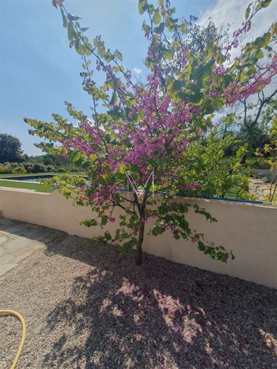 Image No.14-4 Bed House for sale