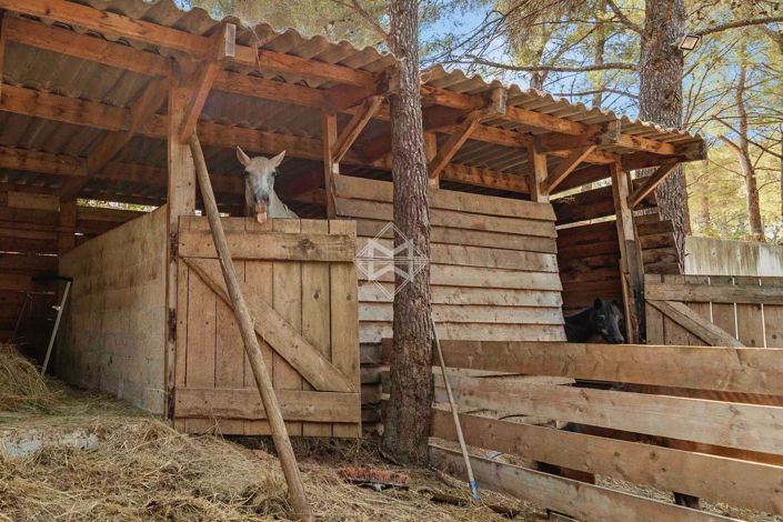 Image No.17-7 Bed House for sale