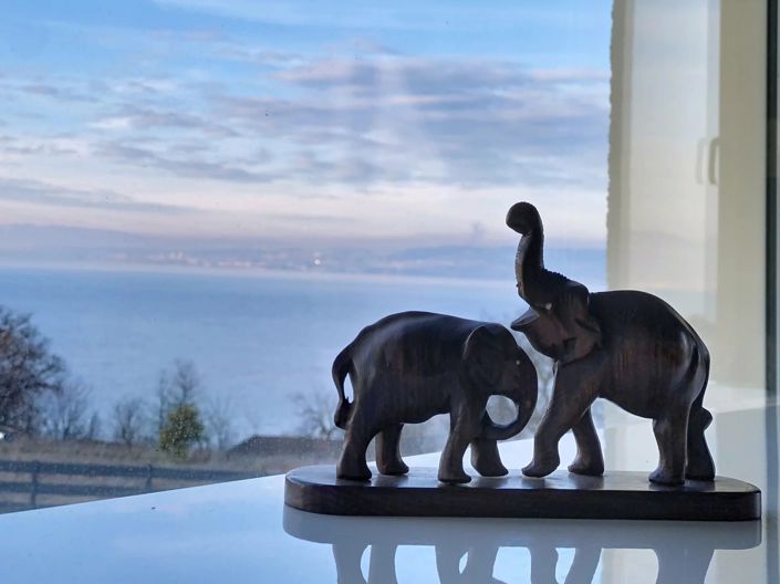 Image No.16-Maison de 5 chambres à vendre à Lugrin