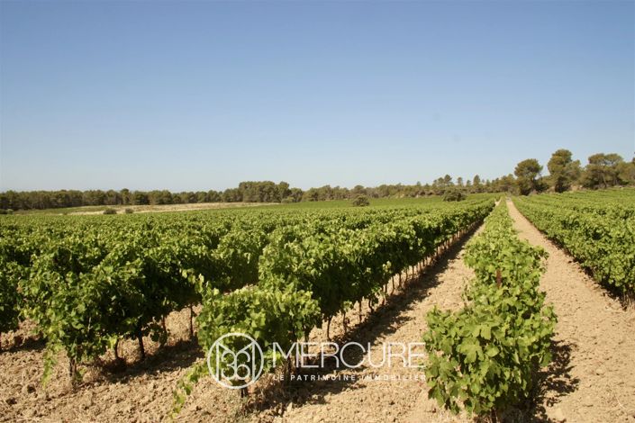 Image No.6-11 Bed House for sale