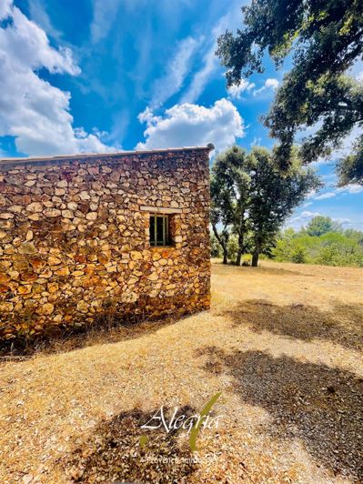 Image No.30-Maison à vendre à Moissac-Bellevue