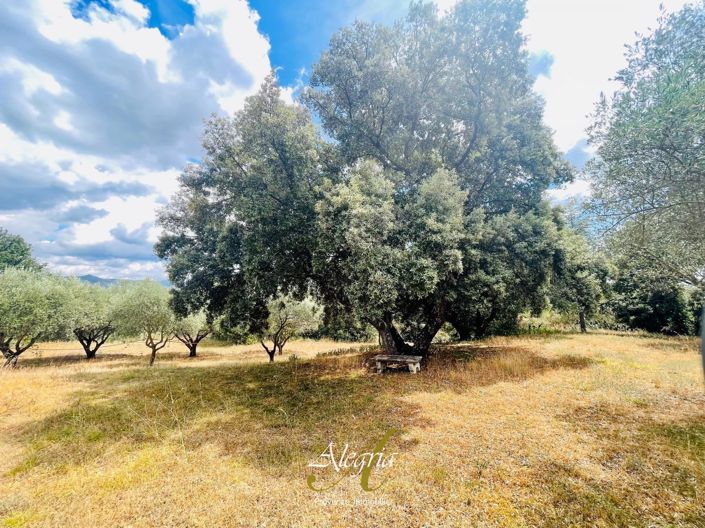 Image No.31-Maison à vendre à Moissac-Bellevue