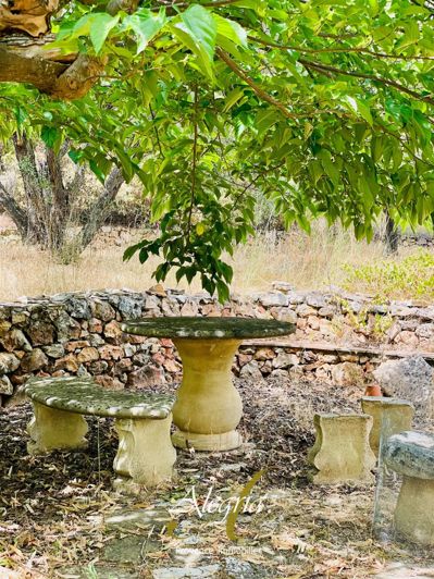 Image No.32-Maison à vendre à Moissac-Bellevue