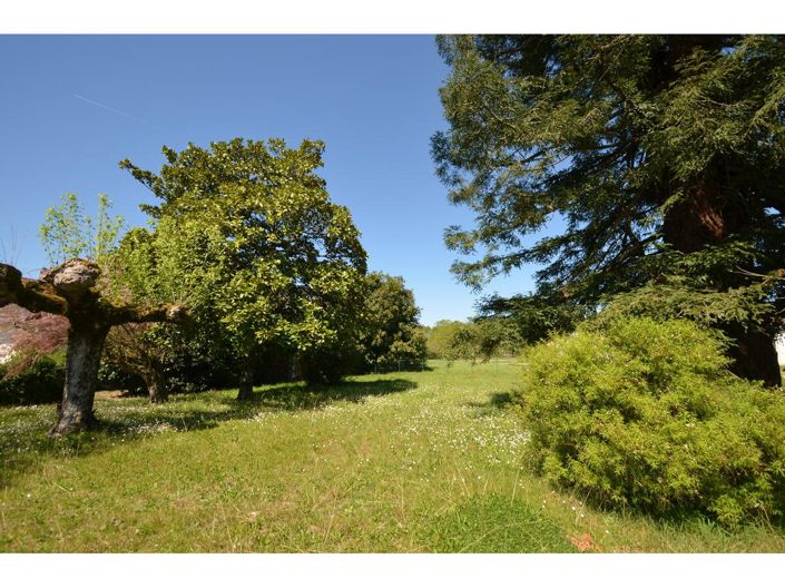 Image No.22-3 Bed House for sale