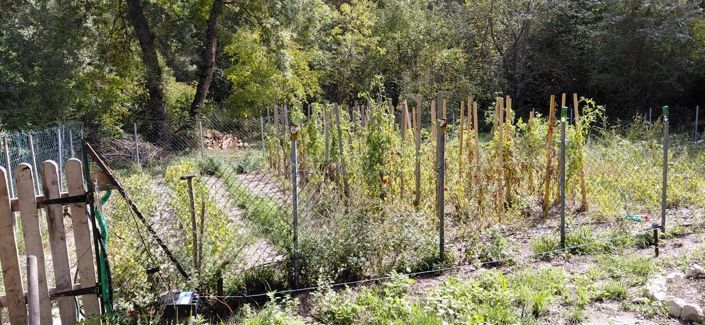 Image No.6-Maison de 2 chambres à vendre à Bargemon
