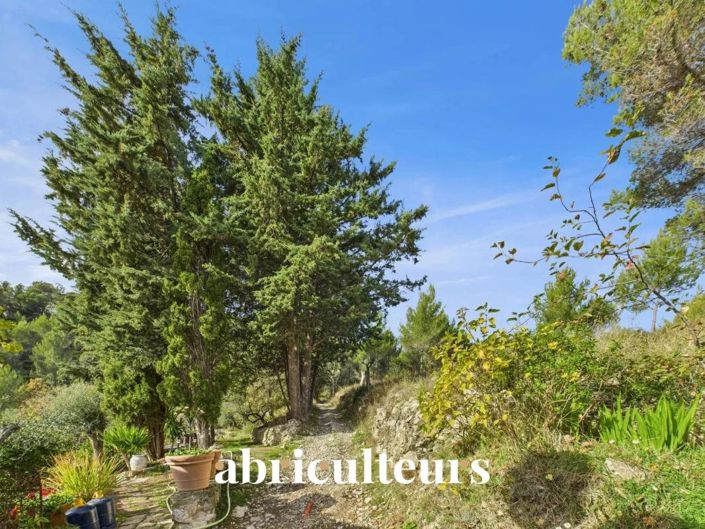 Image No.19-Maison de 6 chambres à vendre à Cantaron