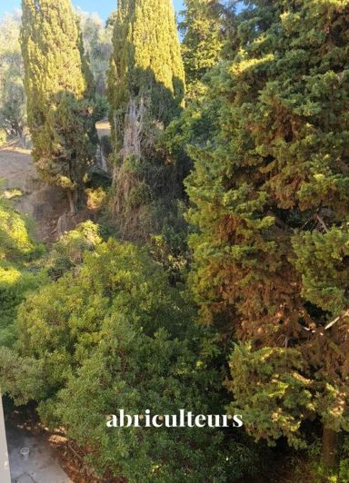 Image No.10-1 Bed Apartment for sale