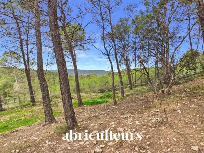 Image No.24-2 Bed House for sale