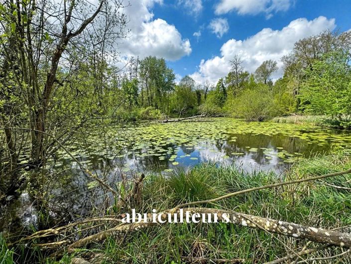 Image No.22-Maison de 14 chambres à vendre à Essonne