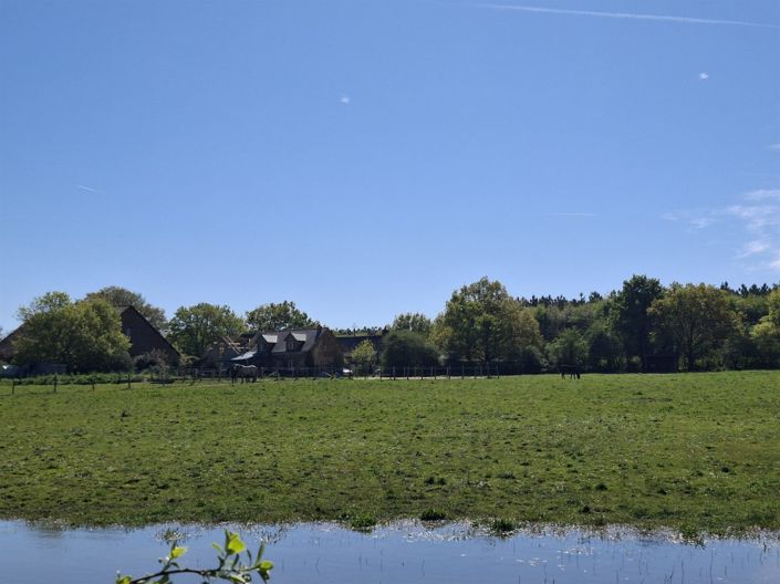 Image No.28-Maison de 11 chambres à vendre à Riaillé