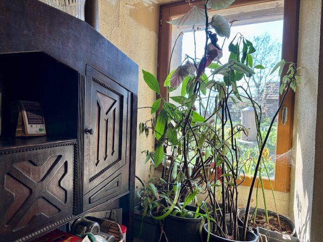 Image No.10-4 Bed House for sale