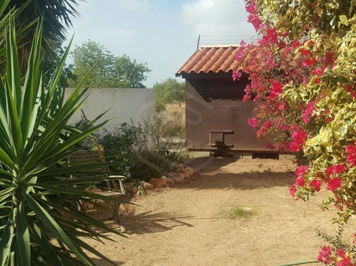 Image No.5-3 Bed House for sale